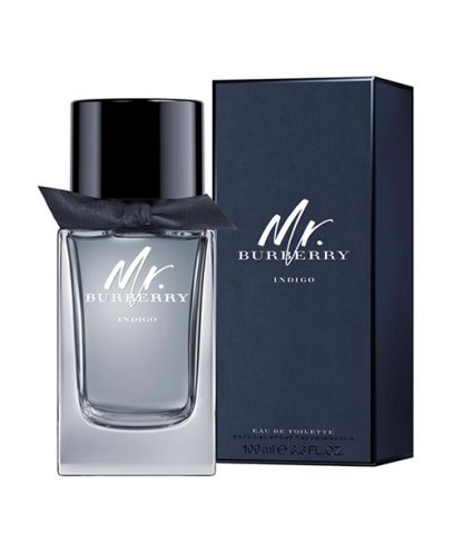 BURBERRY MR BURBERRY INDIGO EDT FOR MEN